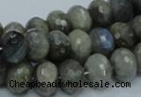 CLB32 15.5 inches 10*14mm faceted rondelle labradorite gemstone beads