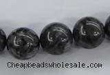 CLB356 15.5 inches 16mm round black labradorite beads wholesale