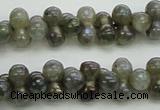 CLB630 15.5 inches 4*9mm bone AB-color labradorite beads