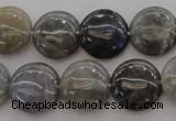 CLB737 15.5 inches 18mm flat round labradorite gemstone beads