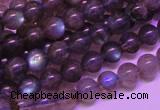 CLB812 15 inches 6mm round blue labradorite gemstone beads