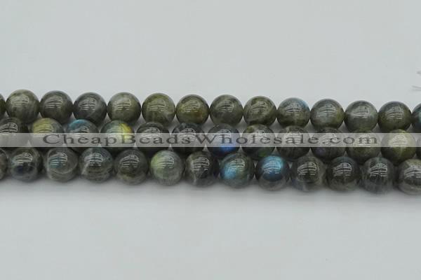 CLB952 15.5 inches 16mm round labradorite gemstone beads