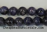 CLJ233 15.5 inches 10mm round dyed sesame jasper beads wholesale