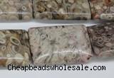 CMB28 15.5 inches 20*30mm rectangle natural medical stone beads