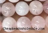 CMG410 15.5 inches 8mm round pink morganite beads wholesale