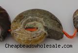 CMM02 15.5 inches 18*25mm - 35*45mm carved ammonite gemstone beads