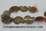 CMM03 15.5 inches 35*45mm - 45*55mm carved ammonite gemstone beads