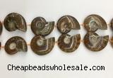 CMM10 15.5 inches 30*40mm - 35*45mm carved ammonite gemstone beads