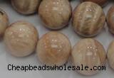 CMS05 15.5 inches 20mm round moonstone gemstone beads wholesale