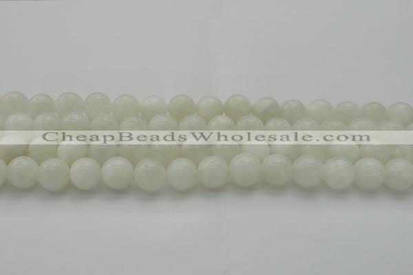 CMS1034 15.5 inches 12mm round A grade white moonstone beads