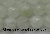 CMS1043 15.5 inches 10mm faceted round A grade white moonstone beads