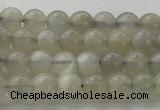 CMS1057 15.5 inches 6mm round grey moonstone beads wholesale