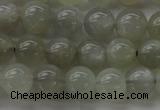 CMS1058 15.5 inches 8mm round grey moonstone beads wholesale