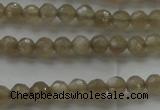 CMS1066 15.5 inches 4mm faceted round grey moonstone beads wholesale