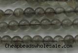 CMS1070 15.5 inches 4mm round grey moonstone beads wholesale