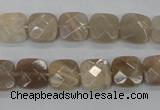 CMS108 15.5 inches 10*10mm faceted square moonstone gemstone beads