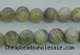 CMS121 15.5 inches 10mm round moonstone gemstone beads wholesale