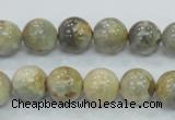 CMS122 15.5 inches 12mm round moonstone gemstone beads wholesale