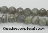 CMS124 15.5 inches 10mm faceted round moonstone gemstone beads