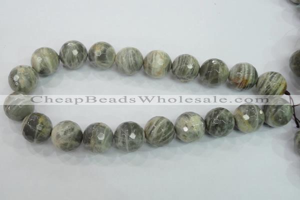 CMS127 15.5 inches 20mm faceted round moonstone gemstone beads