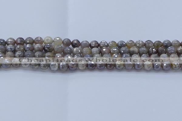 CMS1311 15.5 inches 6mm faceted round AB-color grey moonstone beads