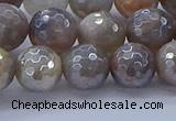 CMS1313 15.5 inches 10mm faceted round AB-color grey moonstone beads