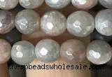 CMS1456 15.5 inches 6mm faceted round AB-color moonstone beads