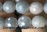 CMS1457 15.5 inches 8mm faceted round AB-color moonstone beads