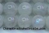 CMS1491 15.5 inches 8mm round white moonstone beads wholesale