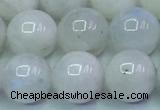 CMS1492 15.5 inches 10mm round white moonstone beads wholesale