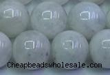 CMS1493 15.5 inches 12mm round white moonstone beads wholesale