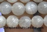 CMS1651 15.5 inches 6mm round grey moonstone beads wholesale