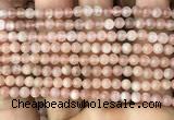 CMS1670 15.5 inches 4mm round moonstone beads wholesale