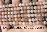 CMS1678 15.5 inches 6mm faceted round moonstone beads wholesale