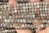 CMS1684 15.5 inches 4mm round rainbow moonstone beads wholesale