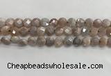 CMS1788 15.5 inches 8mm faceted coin AB-color moonstone beads