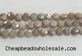 CMS1789 15.5 inches 10mm faceted coin AB-color moonstone beads