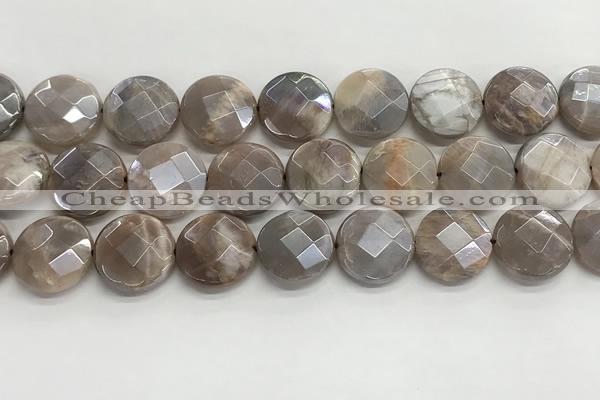 CMS1793 15.5 inches 18mm faceted coin AB-color moonstone beads