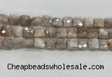 CMS1828 15.5 inches 12*12mm faceted square AB-color moonstone beads