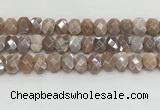 CMS1838 10*12mm - 12*16mm faceted freeform AB-color moonstone beads