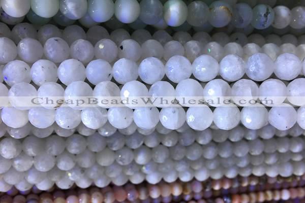 CMS1857 15.5 inches 10mm faceted round white moonstone beads wholesale