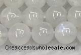 CMS1902 15.5 inches 8mm round white moonstone gemstone beads