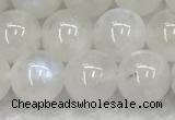 CMS1903 15.5 inches 10mm round white moonstone gemstone beads