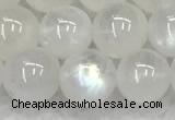 CMS1908 15.5 inches 10mm round white moonstone gemstone beads