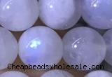 CMS1923 15.5 inches 10mm round white moonstone gemstone beads