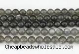 CMS2022 15.5 inches 10mm round black moonstone beads wholesale