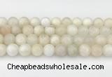 CMS2029 15.5 inches 10mm round white moonstone beads wholesale