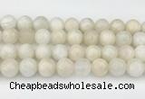 CMS2031 15.5 inches 14mm round white moonstone beads wholesale