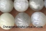 CMS2051 15.5 inches 8mm round moonstone gemstone beads