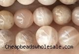 CMS2054 15.5 inches 6mm round moonstone gemstone beads